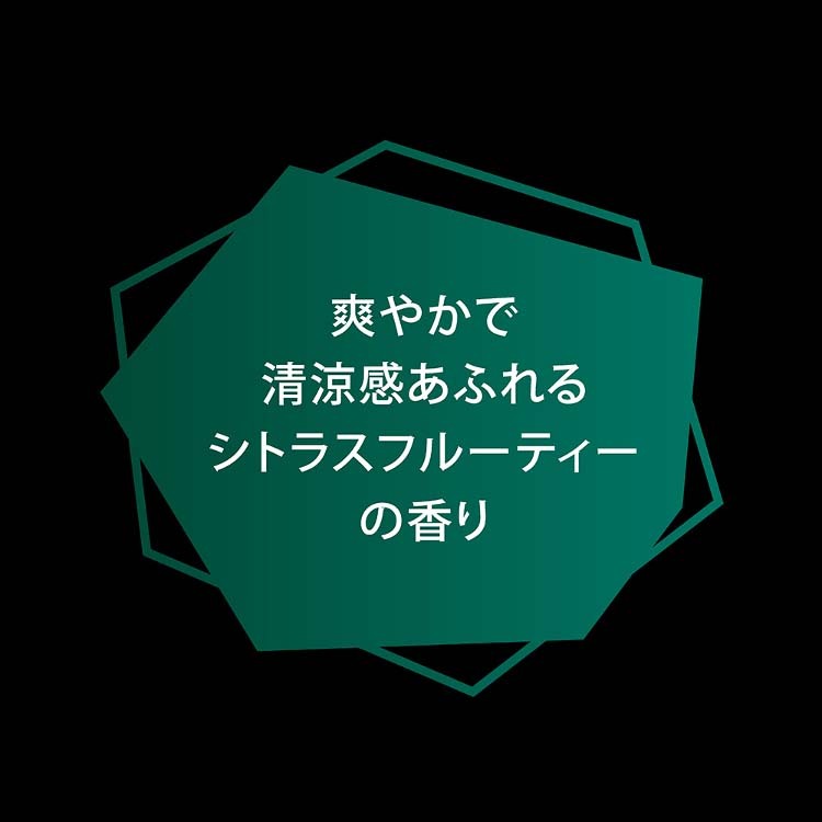 クリア フォーメン トータルケア スカルプシャンプー