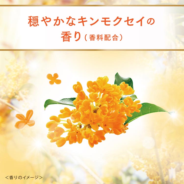 UNICITYユニシティ【ビルティンビジョンエッセンシャルズ　2個セット】 PHS0419_main.png