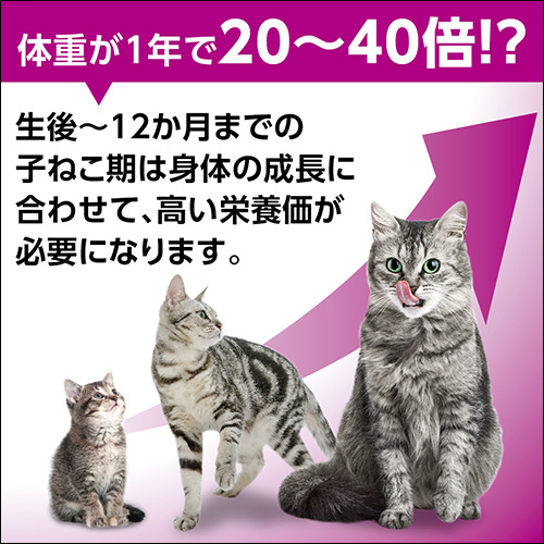 カルカン パウチ まぐろ ゼリー仕立て 子ねこ用 ( 70g*8袋入