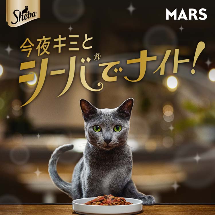 シーバ デュオ 旨みがつお味セレクション ( 200g )/ シーバ(Sheba