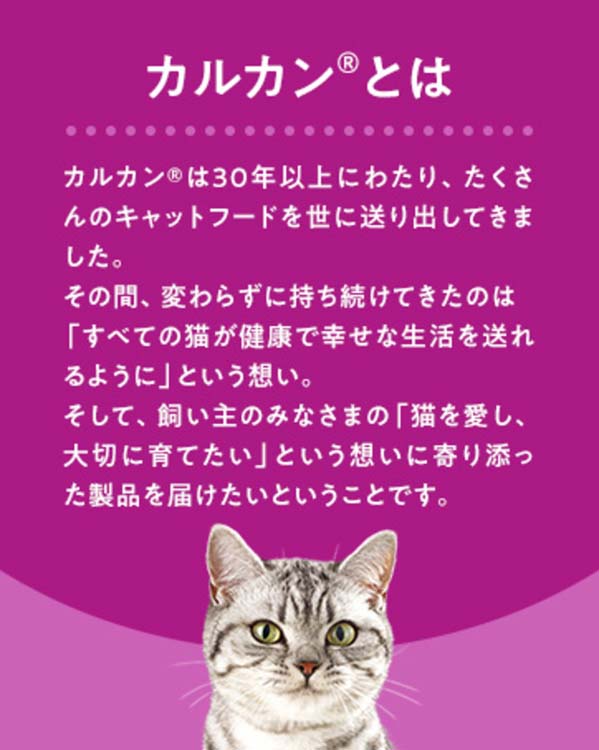 カルカン パテ ★ にゃんこ カルカン パウチ 12ヵ月までの子ねこ やわらかパテ まぐろ 着色料 無