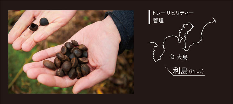 本島椿 純椿油 プッシュタイプ ( 65ml )/ : 爽快ドラッグ - 通販