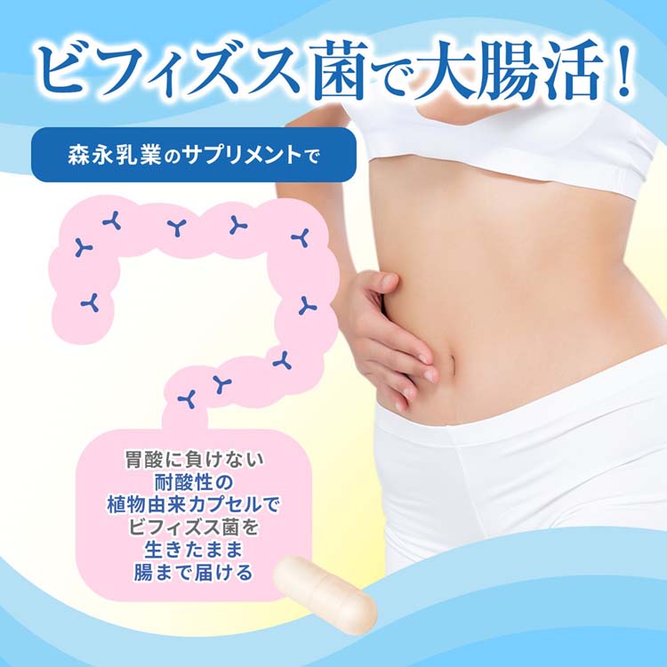 ビヒダス生きて届くビフィズス菌BB536 30日分 ( 30粒 ) ビヒダス 機能