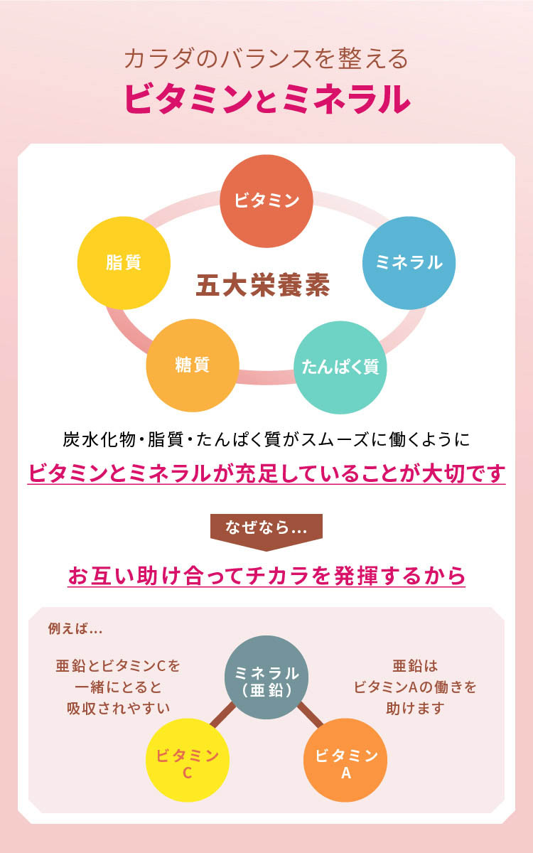 ザバス ホエイプロテイン100 マルチビタミン＆ミネラル ミルクショコラ