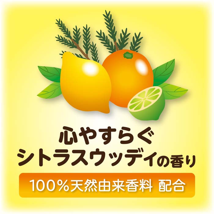 お風呂の万田酵素 健酵入浴液 300ml お風呂の万田酵素 健酵入浴液 ボトル 300mL（約10回分）2本