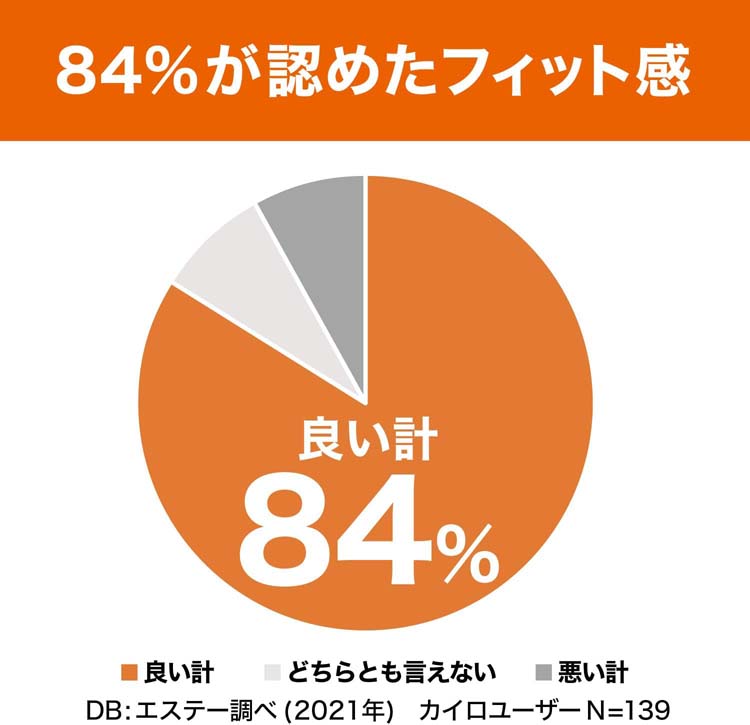 貼る カイロ レギュラー はるオンパックス 日本製 14時間持続 ( 60個入
