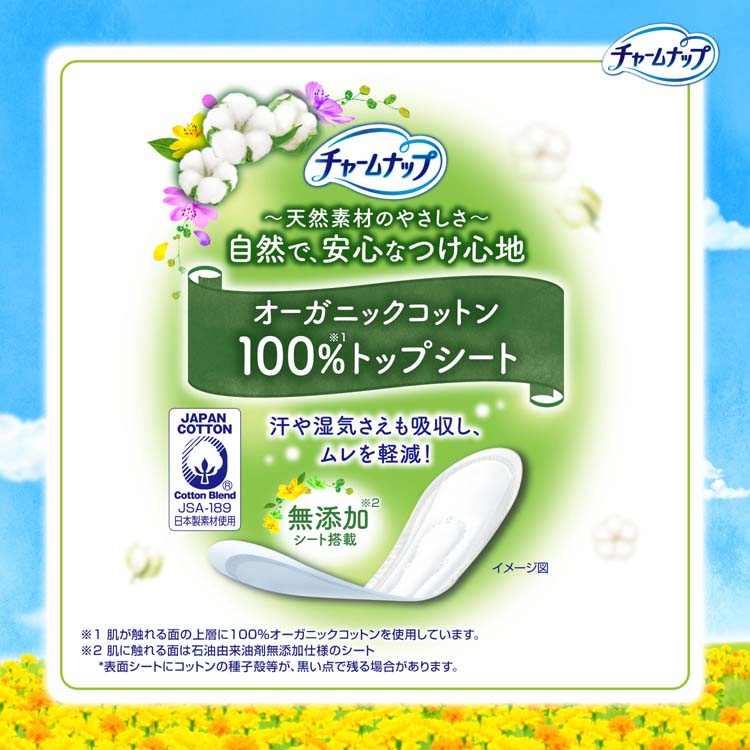 【15cc】訳あり チャームナップ 吸水さらフィ 66枚×10袋 ＋6枚 チャームナップ 吸水さらフィ 長時間安心用 羽なし 150cc 29cm