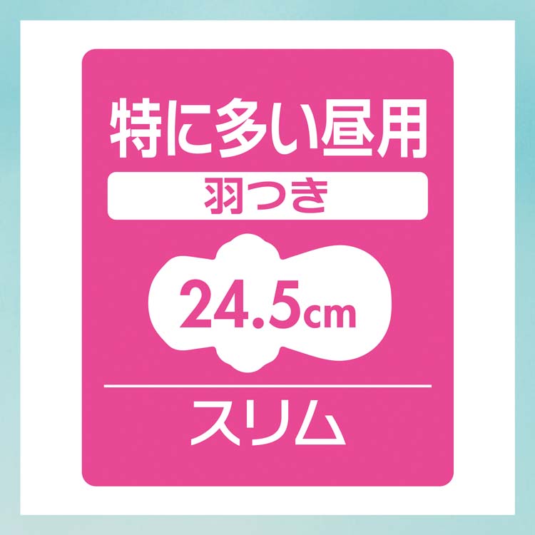 格安  サービス品付★多い日用ナプキンセット★ センターイン ふわふわタイプ 多い日の夜用 羽つき 29cm ( 2個