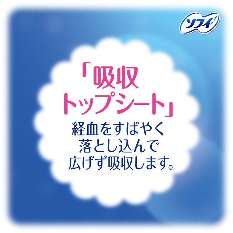 ソフィ ボディフィット スーパーナイトガード 夜用 羽なし ( 10