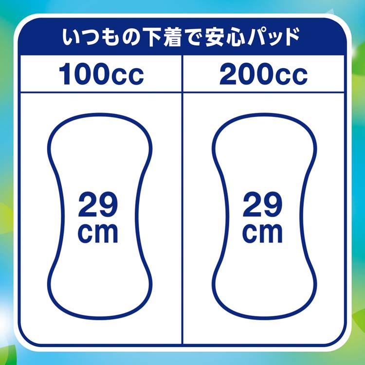 Dライフリー 尿漏れパッド 200cc 29cm 18枚×12袋 ライフリー いつもの下着で安心パッド 200cc 紙パンツをすすめる