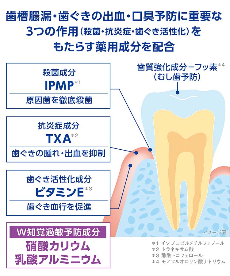 デントヘルス 薬用ハミガキ しみるブロック ( 85g )/ デントヘルス