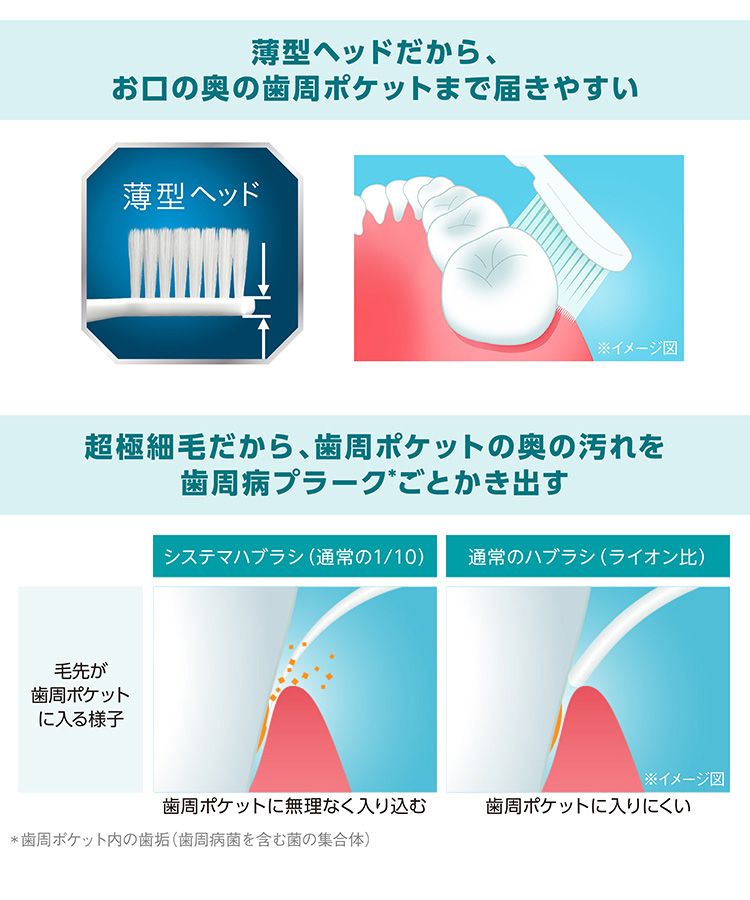 システマハブラシ しっかりケゴシタイプ コンパクト かため × 120点