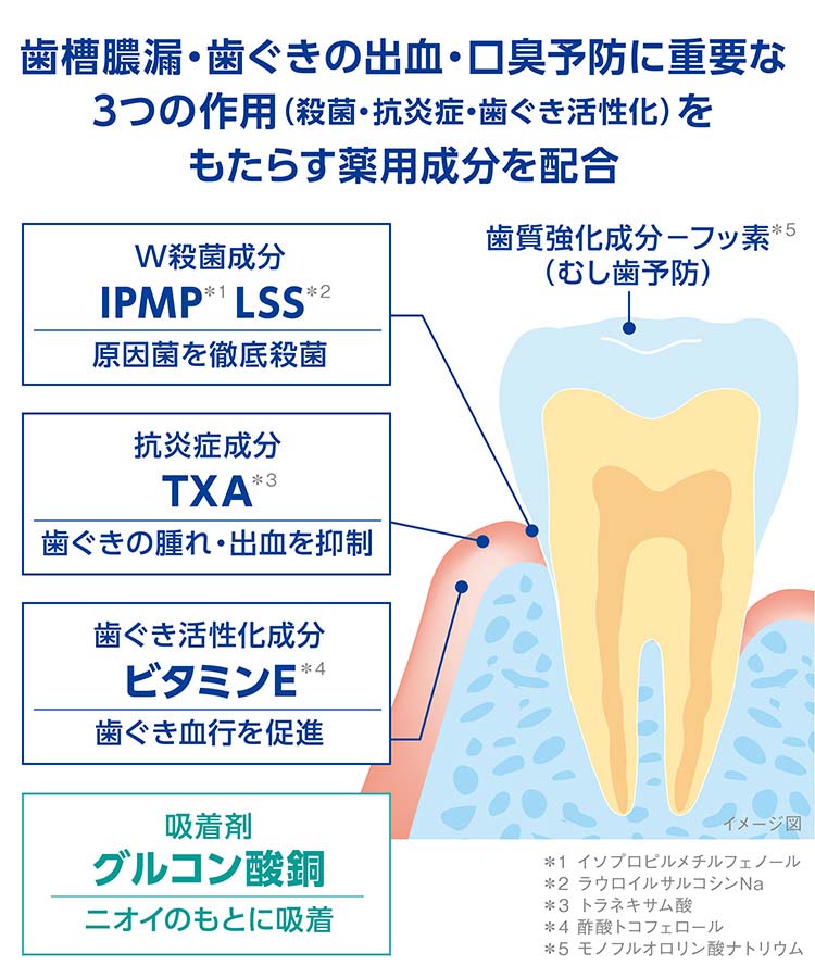 デントヘルス 薬用ハミガキ 口臭ブロック ( 85g )/ デントヘルス : 4903301276005 : 爽快ドラッグ - 通販 -  Yahoo!ショッピング