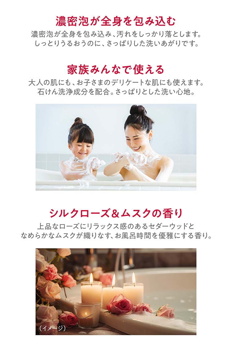hadakara 美肌プレミアム モイストボディケアソープ 液タイプ つめかえ
