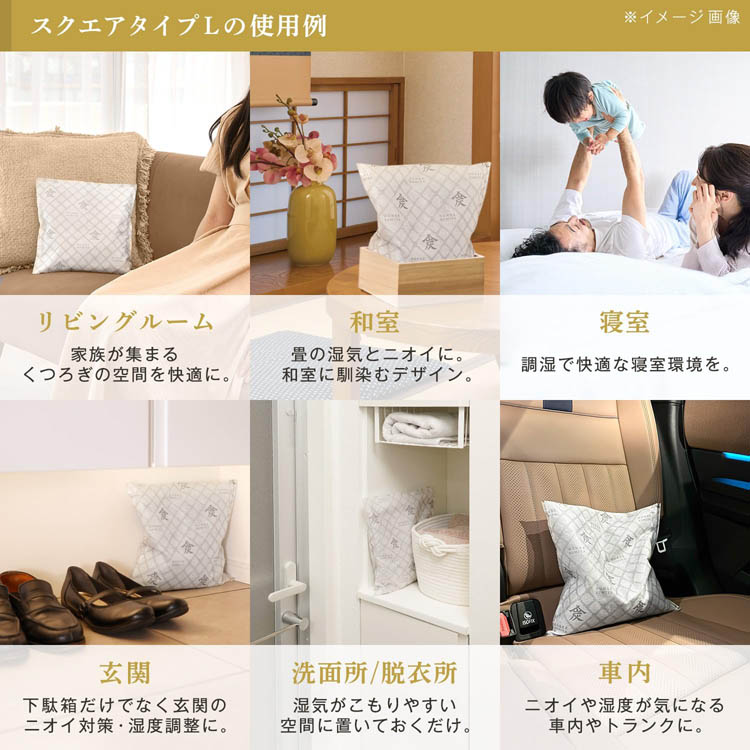 調湿・消臭木炭 本家炭屋スクエアタイプL ( 1000g ) : 爽快ドラッグ