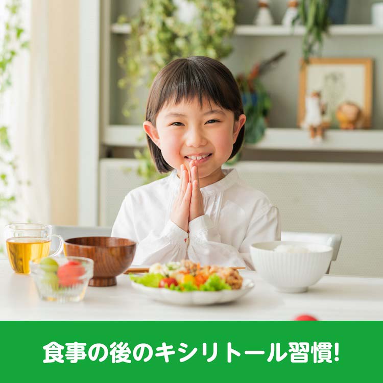 ロッテ キシリトールタブレット 大容量パウチ ( 240g )/ キシリトール