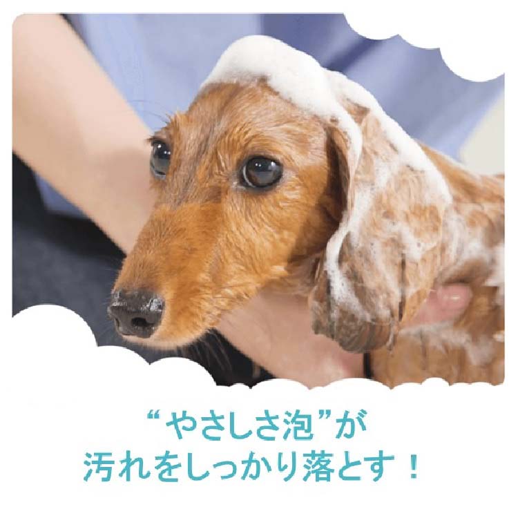 ペットキレイ 毎日でも洗える 泡リンスインシャンプー 犬用 つめかえ用 ( 180ml )/ ペットキレイ :4903351005563:爽快ドラッグ  - 通販 - Yahoo!ショッピング