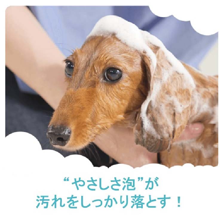 ペットキレイ 薬用 皮フを守る リンスインシャンプー 愛犬用 ナチュラルハーブの香り つめかえ用 400ml×24本