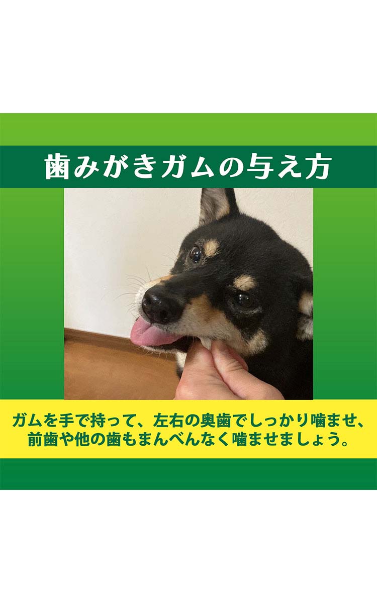 ペットキッス 食後の歯みがきガム やわらかタイプ 超小型犬〜小型犬用