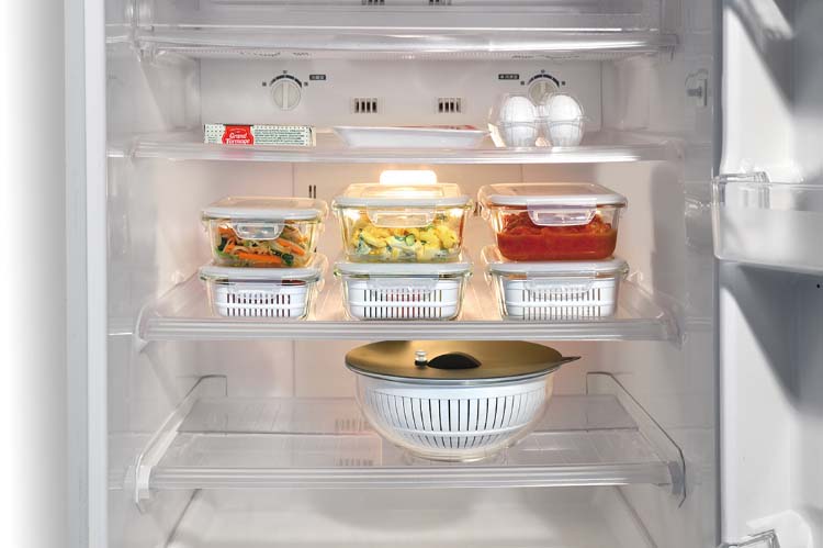 ガラス皿5セット　キッチン　台所用品　お皿　ガラス皿 マジカリーノ 耐熱ガラス角型容器セット M RE-7362 ( 1個 )/ : 爽快