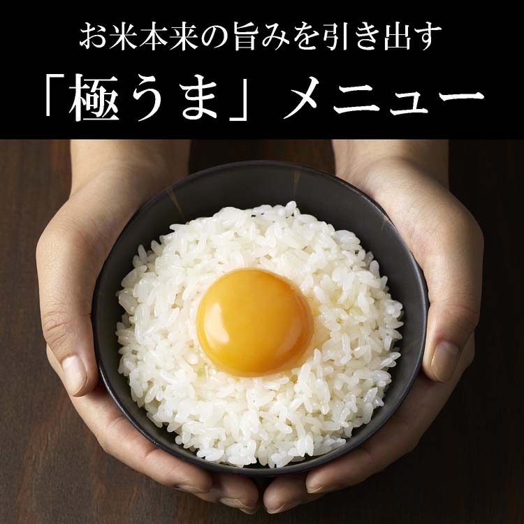 タイガー魔法瓶 IHジャー炊飯器 炊きたて ブラウン JPW-D100 T ( 1台