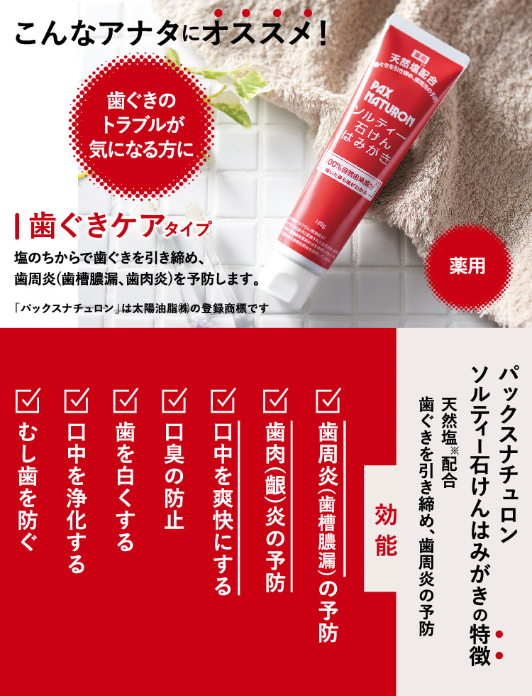 パックスナチュロン ソルティー石けんはみがき ( 120g パックスナチュロン ソルティー石けんはみがき ( 120g