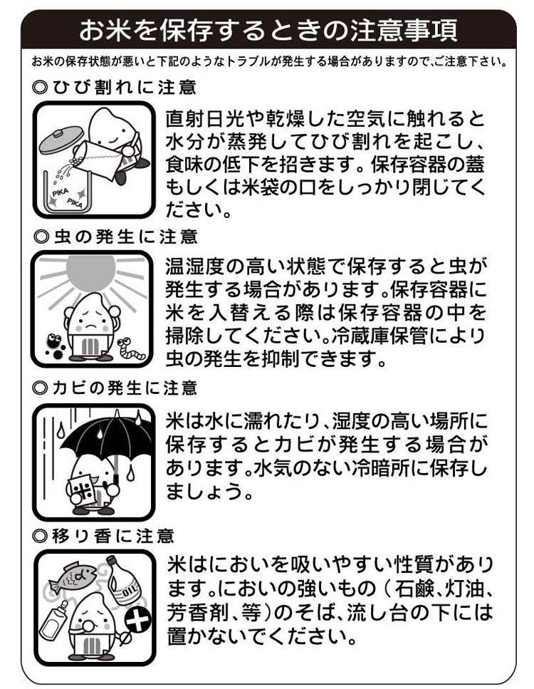 待望☆】 《うまいず米》山形県産つや姫10kg 無洗米 5kg×2 袋 令和3年度産 www.audiovisionsnc.it