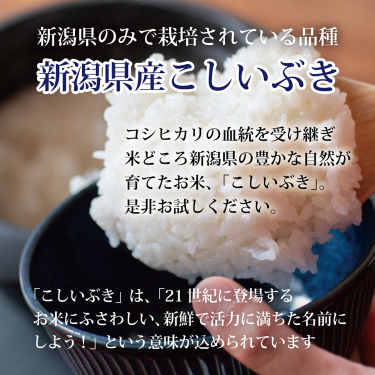 令和5年産 新潟県産こしいぶき ( 5kg )/ ミツハシライス ( 米 新潟 こしいぶき 5kg 白米 精米 ) : 4907358060785 :  爽快ドラッグ - 通販 - Yahoo!ショッピング