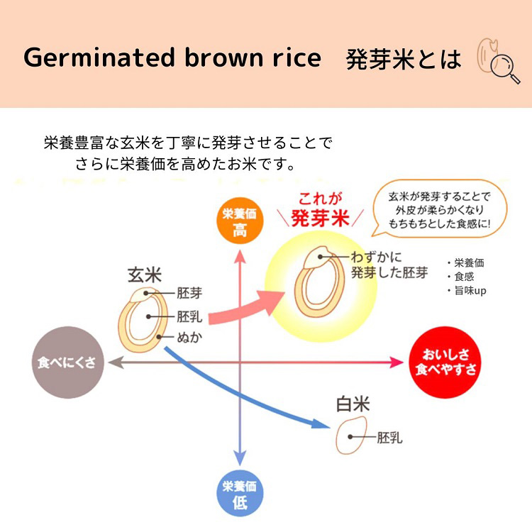 ファンケル 発芽米 ( 1.5kg )/ ファンケル : 4908049474997 : 爽快