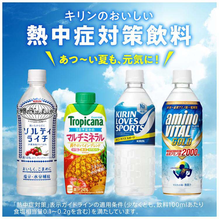 キリン 世界のキッチンから ソルティライチ ( 500ml*24本入