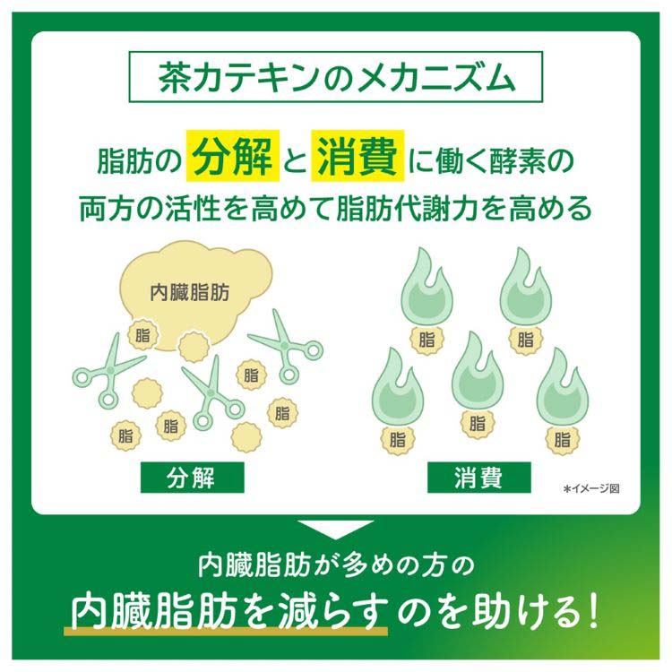 キリン ヘルシア緑茶 ( 1050ml×12本入 )/ ヘルシア 特保