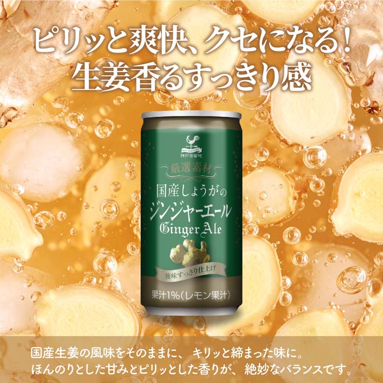神戸居留地 厳選素材 国産生姜のジンジャーエール 缶 炭酸飲料