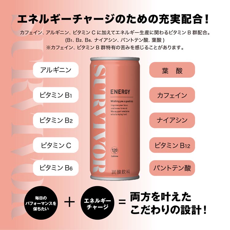 サトルエナジーズ Subtle Energies スーズ&エンリッチ