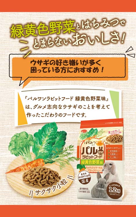 オビワン 旅するうさぎセットと野帳 緑 楽天市場】野帳の通販