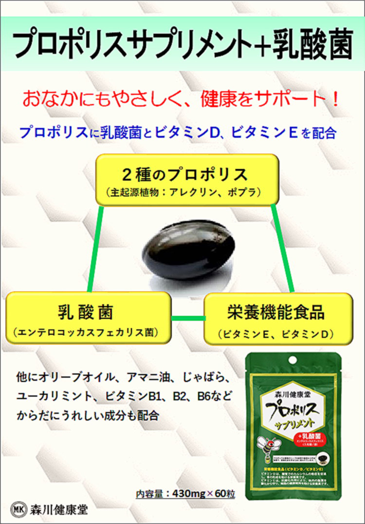 定番キャンバス 最大33倍 ローヤルゼリー サプリ 人気 森川健康堂