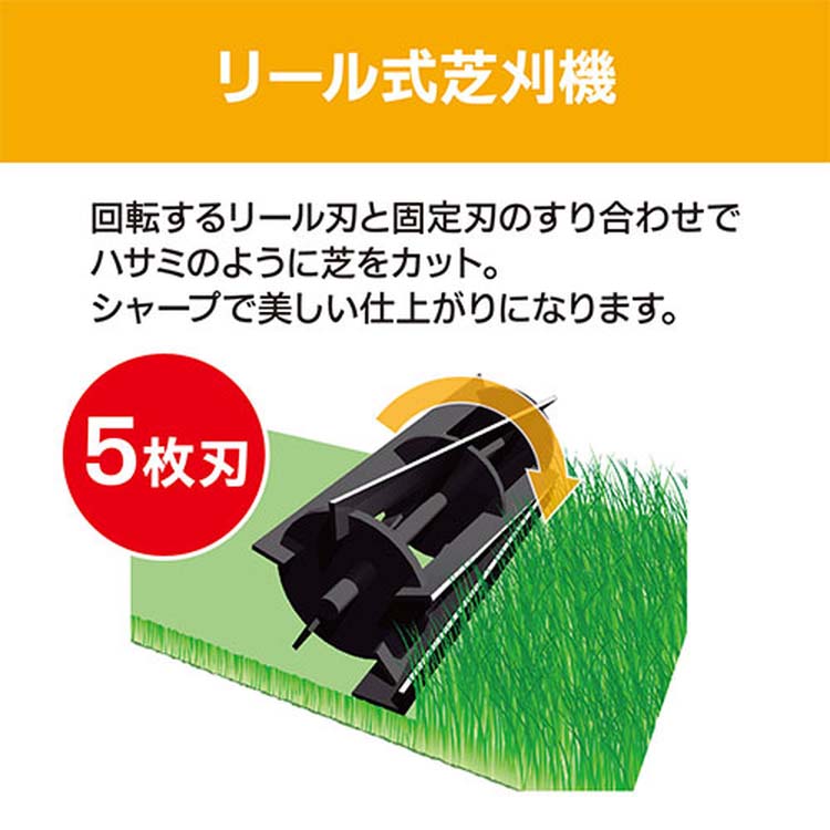 乾燥台地　4枚セット ベジトラグ L VGT-A02 4975149570980