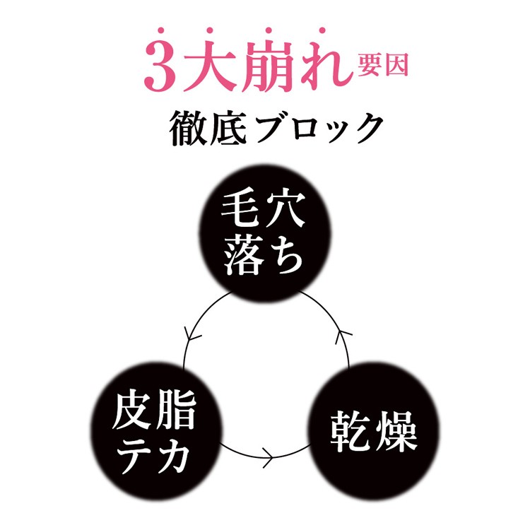 サナ 毛穴パテ職人 フィニッシュキープパウダー ( 10g )/ 毛穴パテ職人