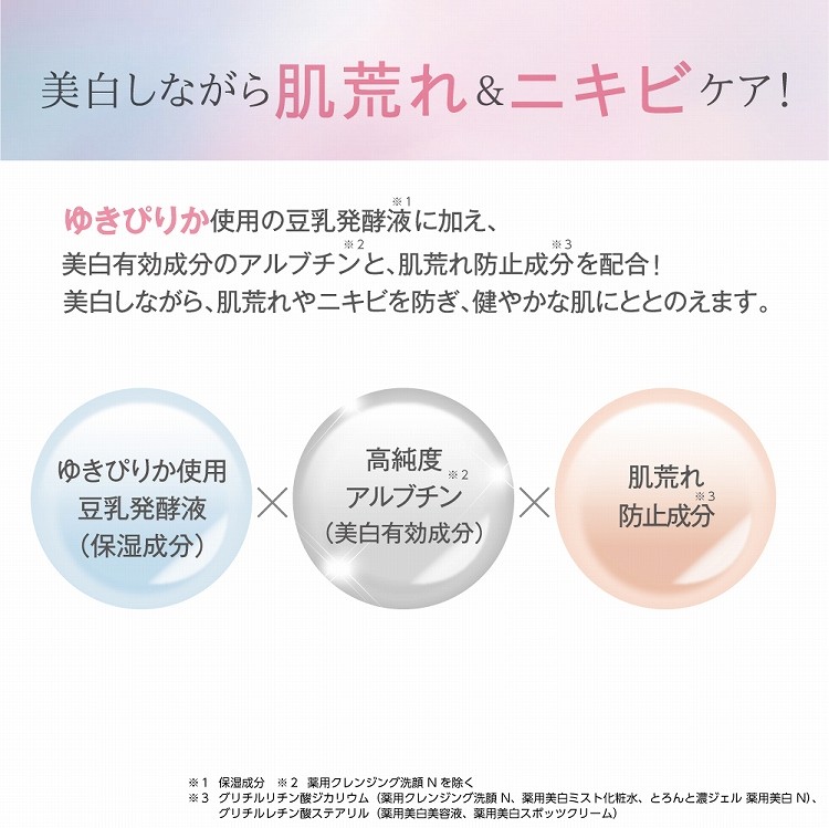 サナ なめらか本舗 薬用美白ミスト化粧水 ( 120ml )/ : 爽快