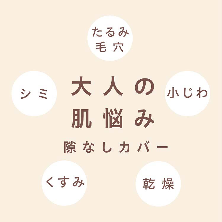 サナ 毛穴パテ職人 エッセンスBBパウダー N 02 ナチュラルベージュ