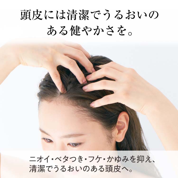 大島椿 ( 60ml )/ 大島椿シリーズ パサツキ 乾燥 保湿 まとまる