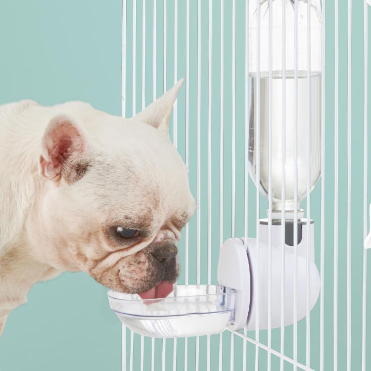 ピュアクリスタル ドリンクディッシュ W ( 1個 )/ : 爽快ドラッグ