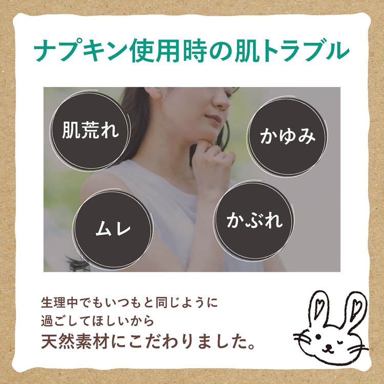 オーガニック コットンナプキン ふつうの日用 羽なし 25.5cm ( 16個入