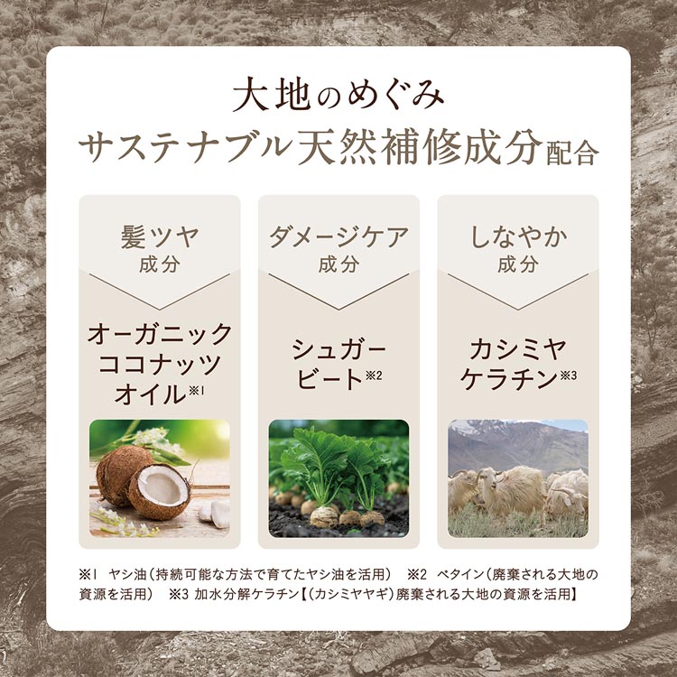 ココパーム ランドエッセンスシャンプー ( 450mL ) : 爽快ドラッグ