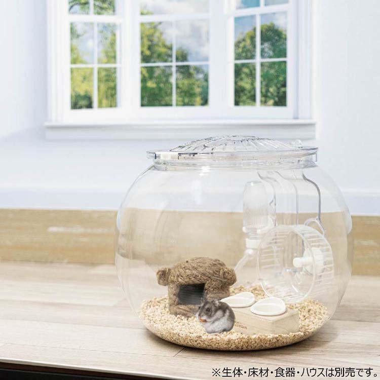ハムリウム ハムスターの飼育セット ( 1個 )/ ミニアニマン : 爽快