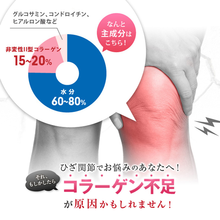 即納大特価】 ファイン 非変性活性 II型コラーゲン UC-II 250粒 fucoa.cl