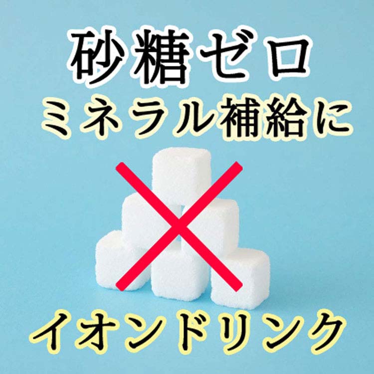 FABIUS すっきりやさしい乳酸菌 2個セット 楽天市場】有胞子性乳酸菌ソフトカプセル約12ヶ月分ネコポス送料
