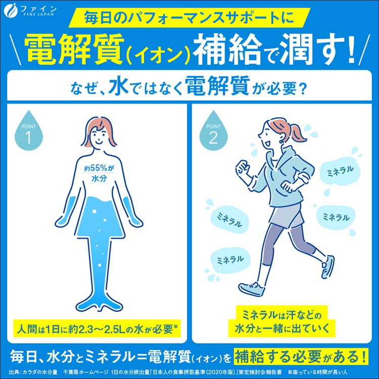 ファイン イオンドリンク 乳酸菌プラス ( 3g*20本入 )/ 砂糖 脂質 保存