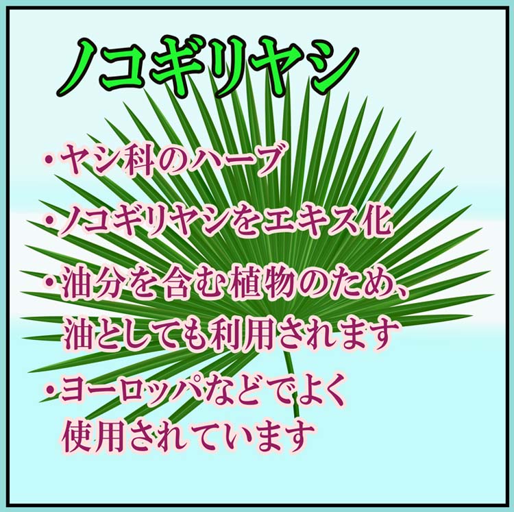 ファイン ノコギリヤシdeナイト ( 590mg*60粒入 )/ ファイン