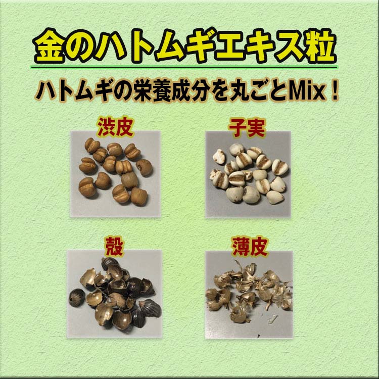 ファイン 金のハトムギエキス 100％粒 ( 210mg*300粒入 )/ はとむぎ 美