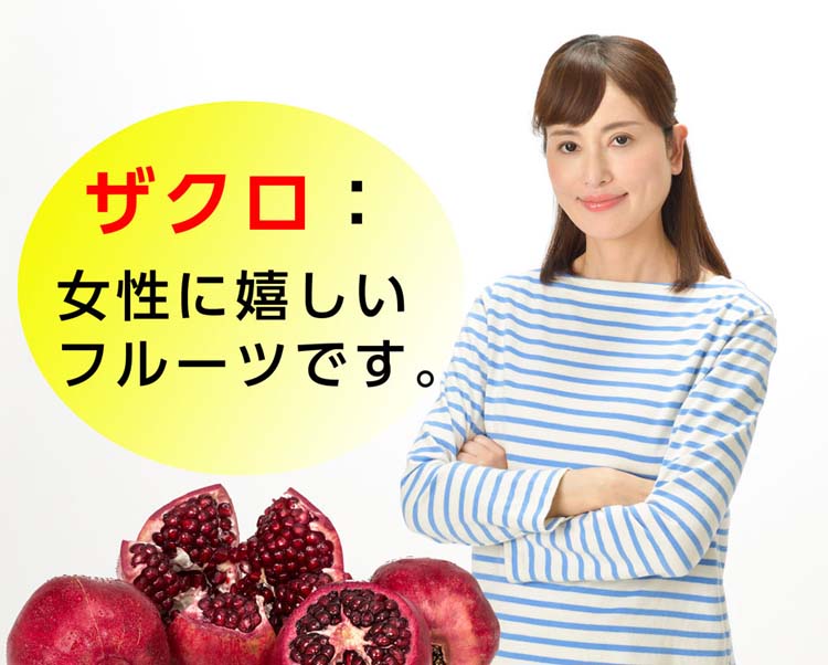 ザクロ粒 ( 150mg*450粒入 )/ ファイン : 爽快ドラッグ - 通販 - Yahoo